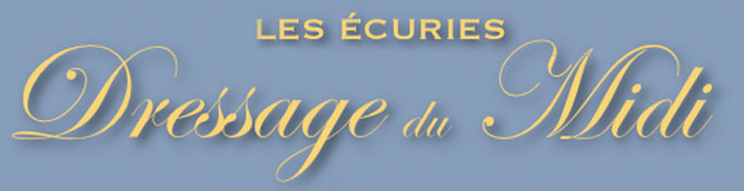 Pension et dressage de chevaux