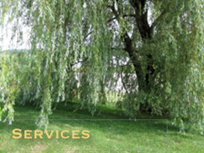 services_img