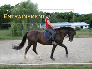 training_img
