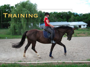 training_img